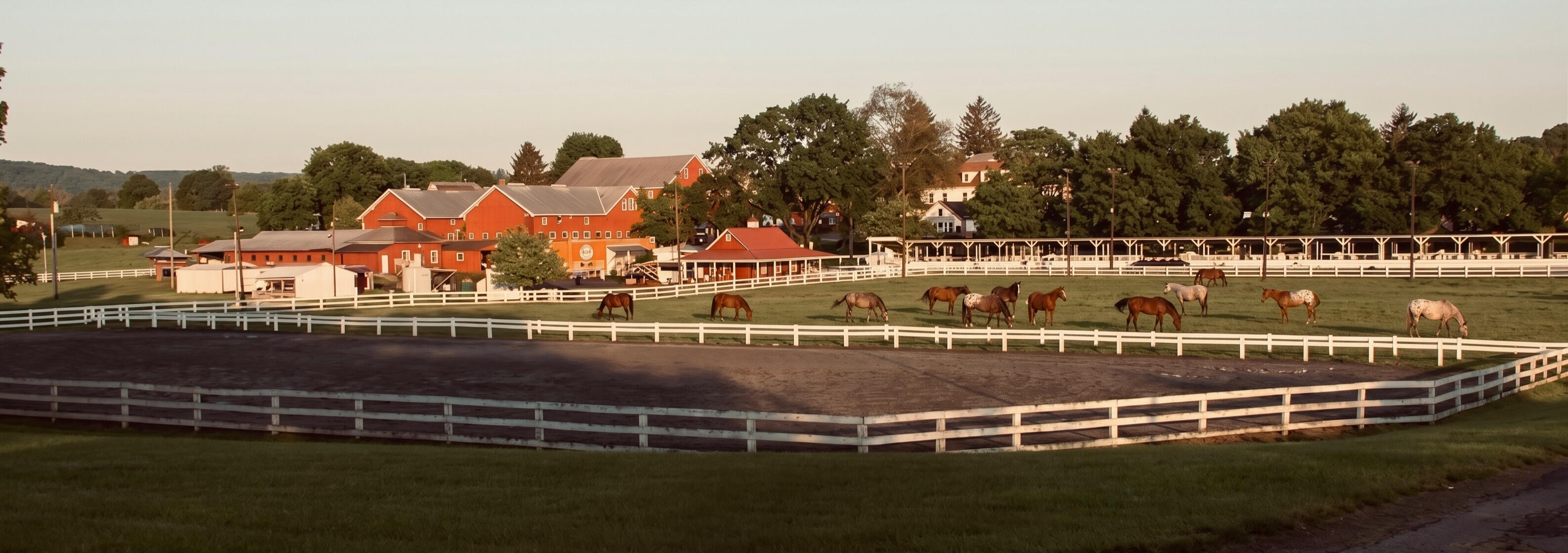 Quentin Riding Club Facility Aerial view of the historic Quentin Riding Club grounds in Pennsylvania, with red barns, white fencing, and horses grazing in the ring
